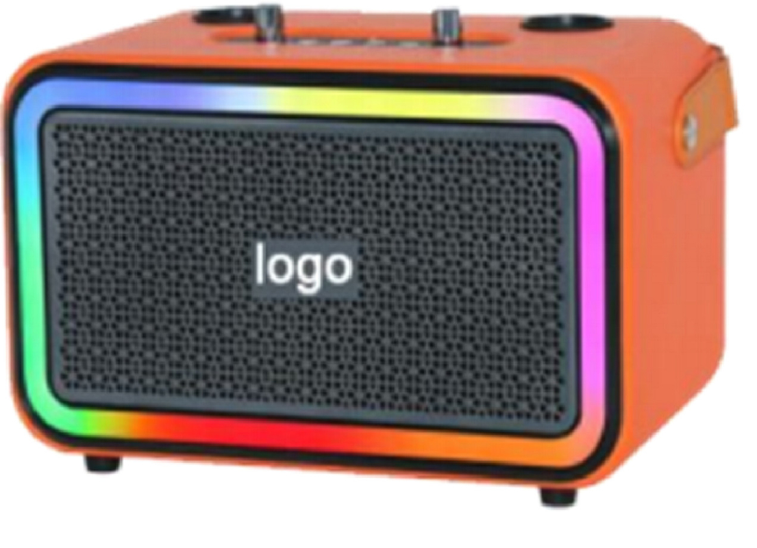 High-fidelity MVSILICON IC chip met DSP-geluidsverwerking met twee 4-inch woofers 3000mAh batterij dubbele draadloze microfoons