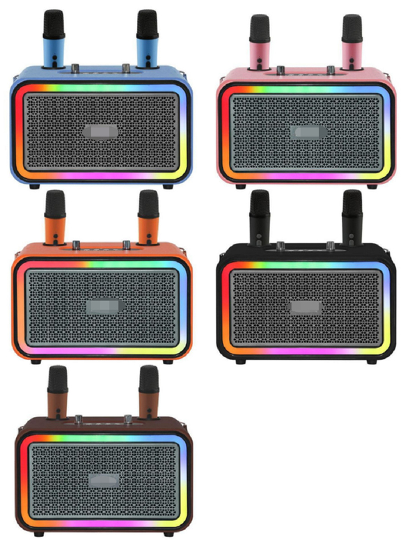 High-fidelity MVSILICON IC chip met DSP-geluidsverwerking met twee 4-inch woofers 3000mAh batterij dubbele draadloze microfoons