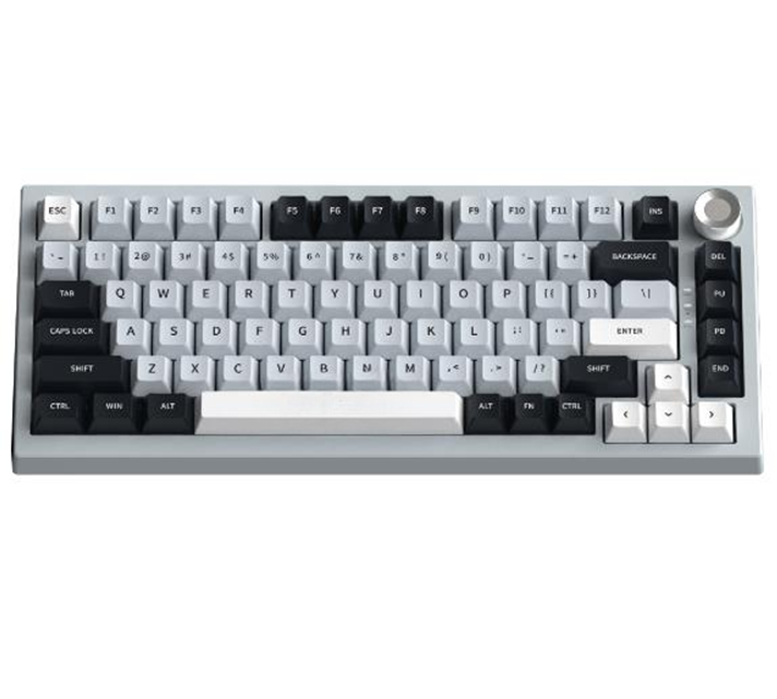 Mechanisch toetsenbord met 81 toetsen, RGB achtergrondverlichting, Type-C/2.4G/Bluetooth